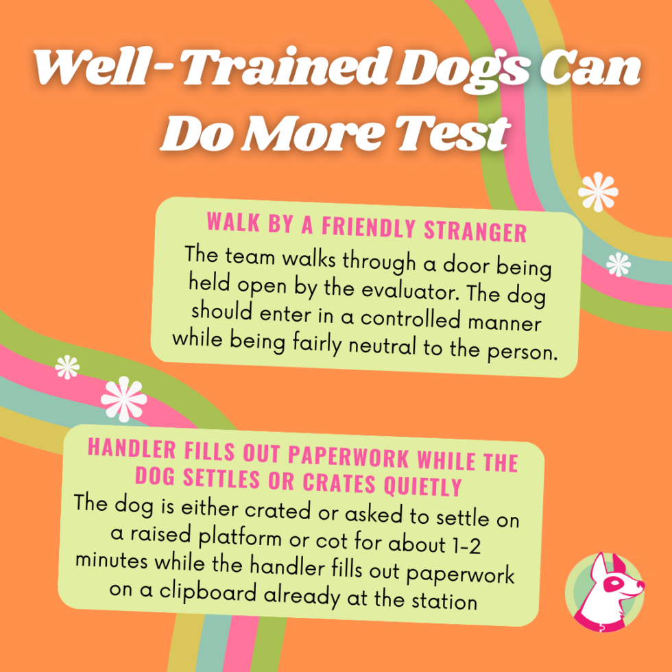 Well Trained Dogs Test ~ Success Just Clicks Dog Training